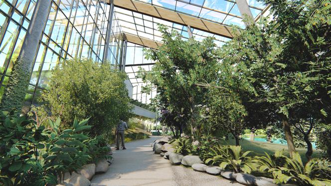 Powstanie Centrum Edukacji Ekologicznej w Sosnowcu