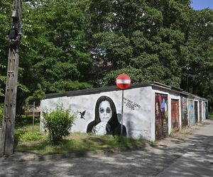Ozzy Osbourne na Osiedlu Przyjaźń. Wyjątkowy portret Księcia Ciemności