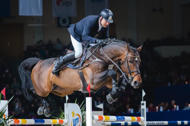 Czas start… Zbliża się Cavaliada na COS Torwar!