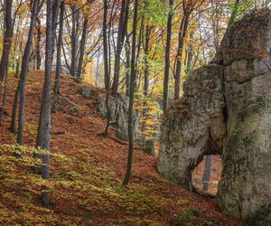 Ten park narodowy nazywany jest polską Szwajcarią