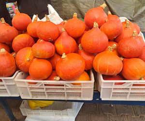 Ceny dyni 2025 na Nowym Kleparzu i Starym Kleparzu w Krakowie