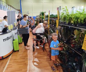 Trwa Festiwal Roślin w Siedlcach 2025. Zobacz zdjęcia z wydarzenia!