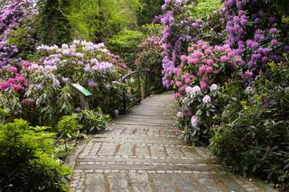 To raj dla miłośników przyrody! Kiedy otwarcie Arboretum pod Wrocławiem?