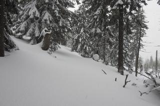 W Karkonoszach drugi stopień zagrożenia lawinowego. Goprowcy maja sporo pracy