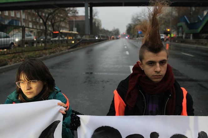 Ostatnie Pokolenie zablokowało Wisłostradę. Furia kierowców. Matka chorego dziecka błagała o przejazd