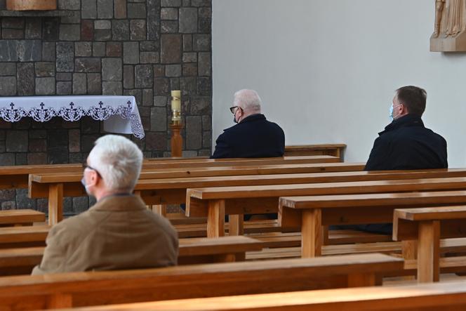 Prezes z palmą, Wałęsa bez
