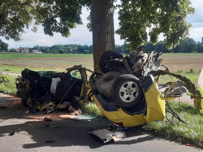 Śmiertelny wypadek pod Świebodzinem. Auto 37- i 32-latka zostało rozerwane na strzępy [ZDJĘCIA].