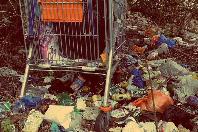 Straż Miejska otrzyma foto-pułapki do walki ze śmieciarzami