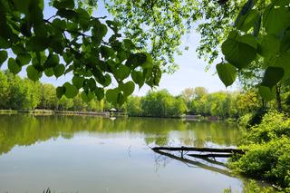Kraków - Park Tetmajera