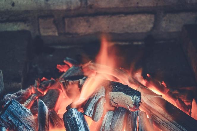 Rekordowa ilość dotacji w Gdyni. Mieszkańcy ruszyli po wsparcie