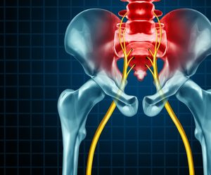 Nerw kulszowy - przebieg, funkcje, choroby
