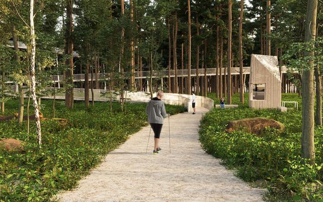 Ścieżka w koronach drzew w Zwierzyńcu według NM Architekci, Zuzanny Szpocińskiej i Jerzego Grochulskiego