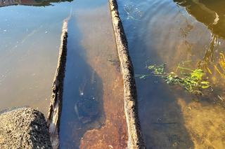 Stara łódź znaleziona na terenie Twierdzy Modlin 