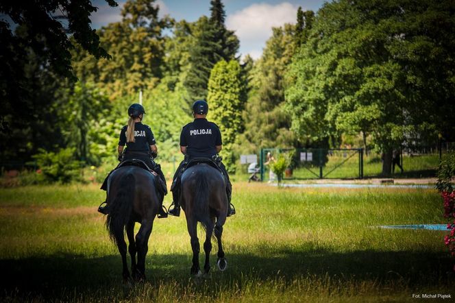 Policyjne wierzchowce od lat wspierają śląską policję