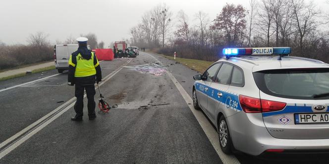 Horror na drodze niedaleko Torunia. Apel do świadków!