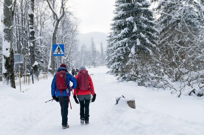 Zima w Polsce 2021 nie odpuści! Kiedy i gdzie największy mróz i śnieg? [PROGNOZA]