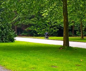 Ohlsdorfer Friedhof w Hamburgu