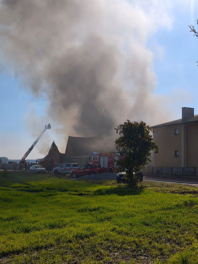 Ogromne straty po pożarze w zakładzie w Czeluścinie