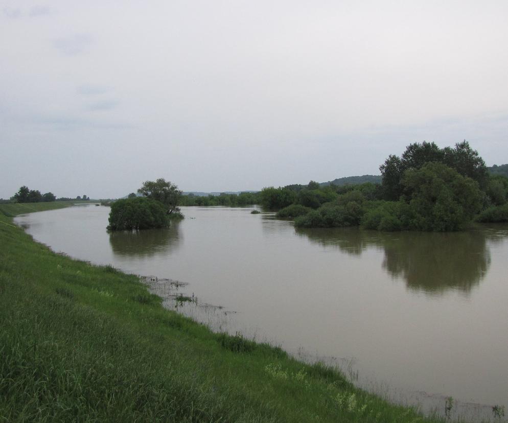 Na Dolnym Śląsku znów wzbierają się rzeki. IMGW ostrzega również przed silnym wiatrem
