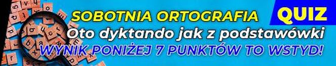 QUIZ. Sobotnia ortografia. Oto dyktando jak z podstawówki. Wynik poniżej 7 punktów to wstyd! 