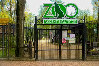 Akcent ZOO w Białymstoku