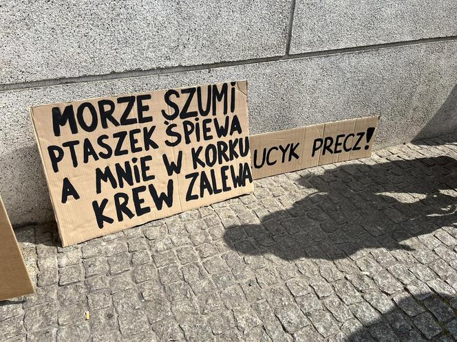 Protestowali przed urzędem miasta w Gdyni. "Szczurek, oddaj za paliwo!"