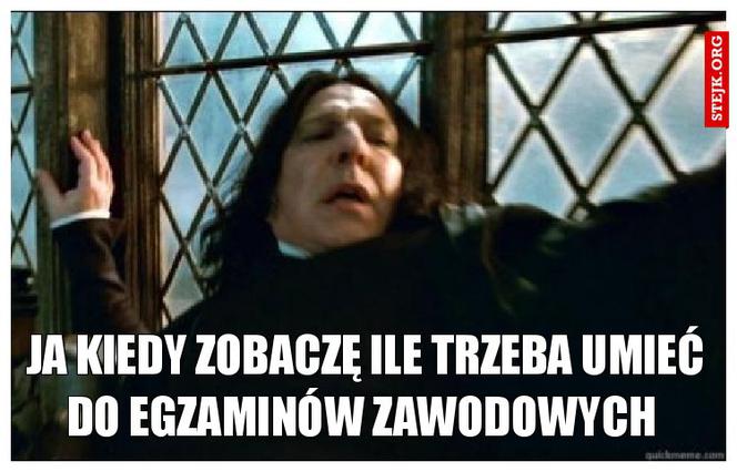 Egzamin zawodowy 2020: MEMY o egzaminie potwierdzającym kwalifikacje zawodowe [ZDJĘCIA]