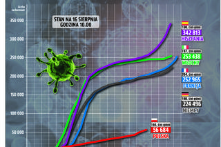Koronawirus w Polsce. Wykresy i mapy: 16.08.2020
