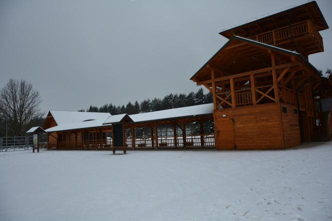 Pokazowa Zagroda Żubrów w Krajewie prawie gotowa [ZDJĘCIA]