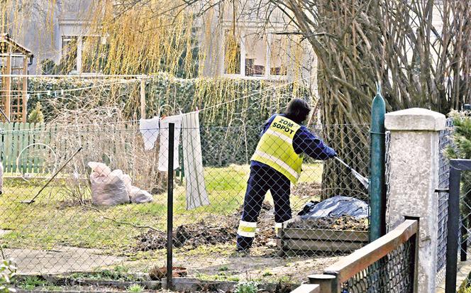 Wiosenne porządki u Tusków 