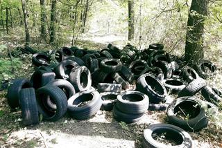 Setki podrzuconych opon w brzeskim lesie. Miał je przywieźć samochód dostawczy lub bus