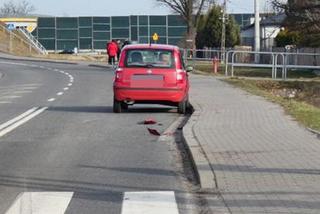 Wypadek w Brwinowie. 12-latka potrącona na pasach