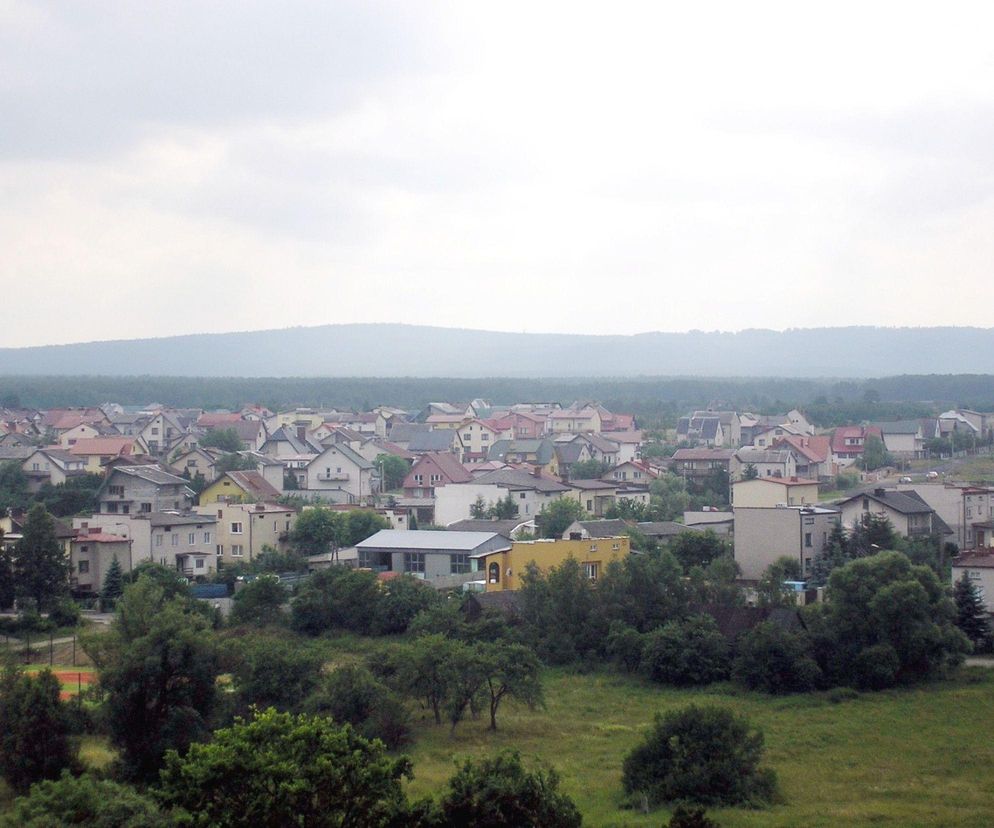 To najwyższy szczyt na Mazowszu. Znajduje się tuż przy granicy województw