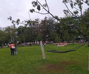 Park centralny w Gdyni. Atrakcje dla dzieci i dorosłych