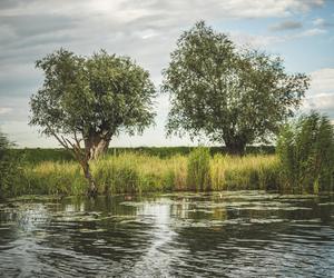 Żuławy Wiślane. Zamki i wspaniałe widoki. Co tu zwiedzić? Zapytaliśmy o to Wędrowne Motyle