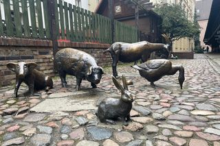 Ku czci Zwierząt Rzeźnych 