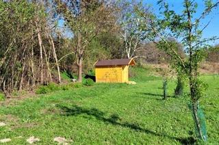 Apiterapia w Tarnowcu