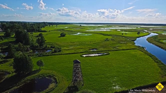 Biebrzański Park Narodowy