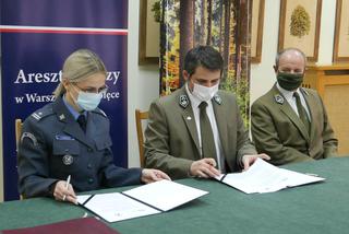 Więźniowie posprzątają lasy. Areszt na Białołęce podpisał umowę z nadleśnictwem