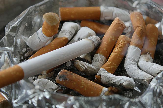 Poznań: Jak mocno jesteś uzależniony od nikotny? Będzie można to sprawdzić!