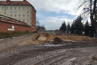 Bulwar Filadelfijski w Toruniu. To tutaj odkryto relikty kompleksu św. Ducha