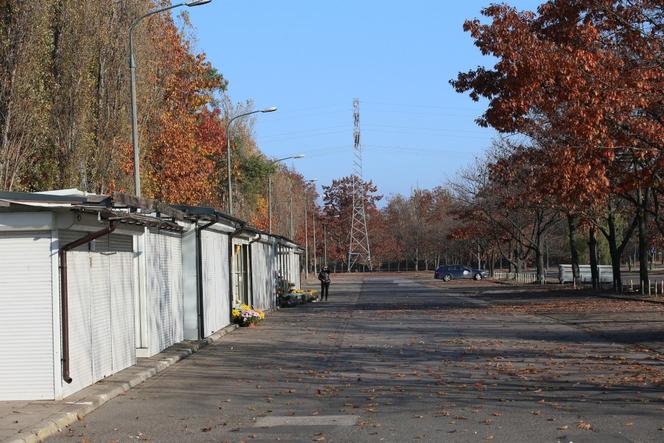 Wszystkich Świętych 2020. Przerażający widok z cmentarzy w Warszawie
