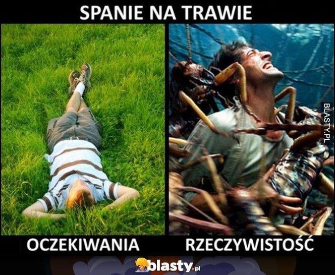 Memy majówka 2025