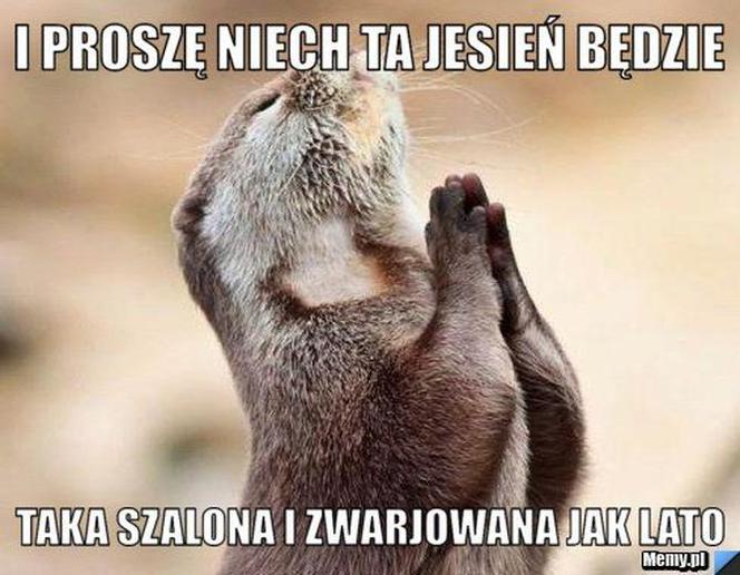 Równonoc jesienna 2020. Zobacz najlepsze memy na pierwszy dzień jesieni