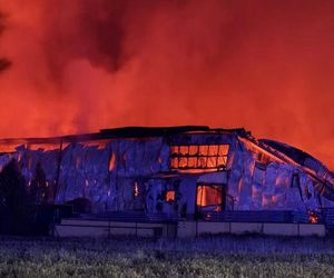 Gigantyczny pożar hali niedaleko Warszawy. Powołają specjalny zespół prokuratorski