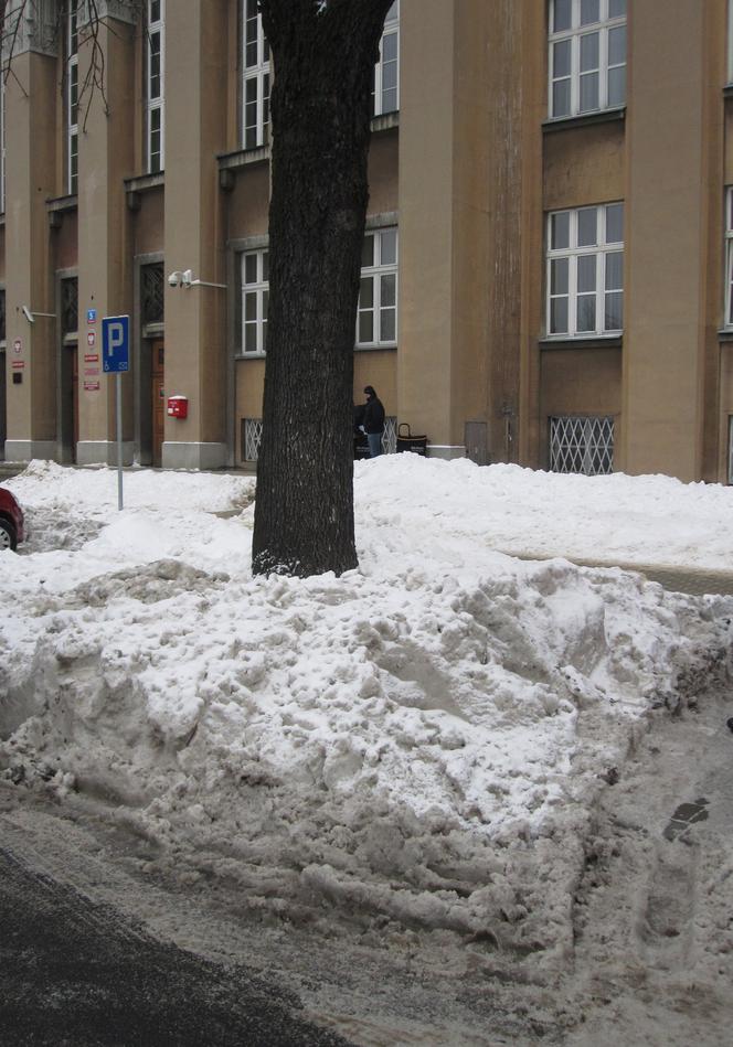 Inwalidzi odśnieżą miasto!