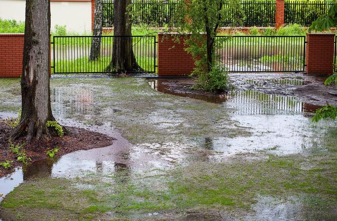 Ogród po powodzi