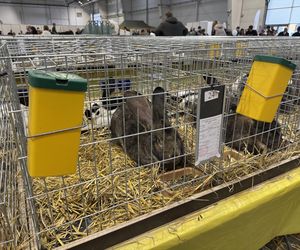 ZooPark w Lublinie. Dzień drugi