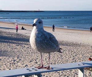 Kołobrzeg po sezonie