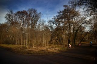 Park Jalu Kurka w Krakowie